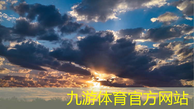 团结路中间绿化工程招标