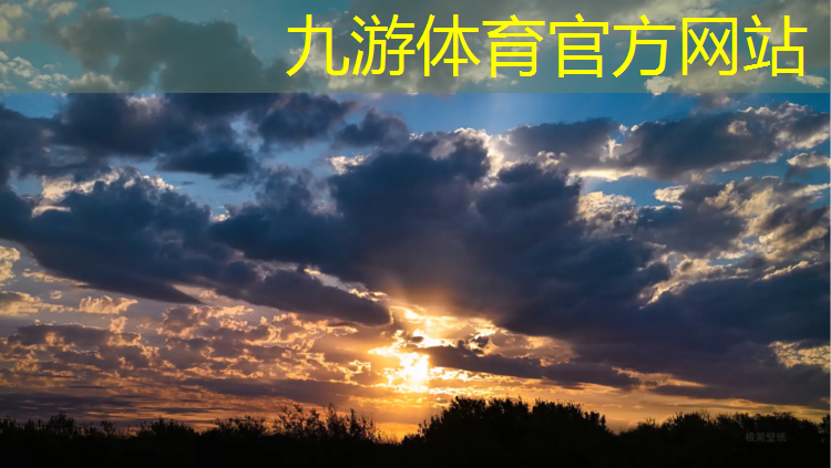 薛城绿化工程